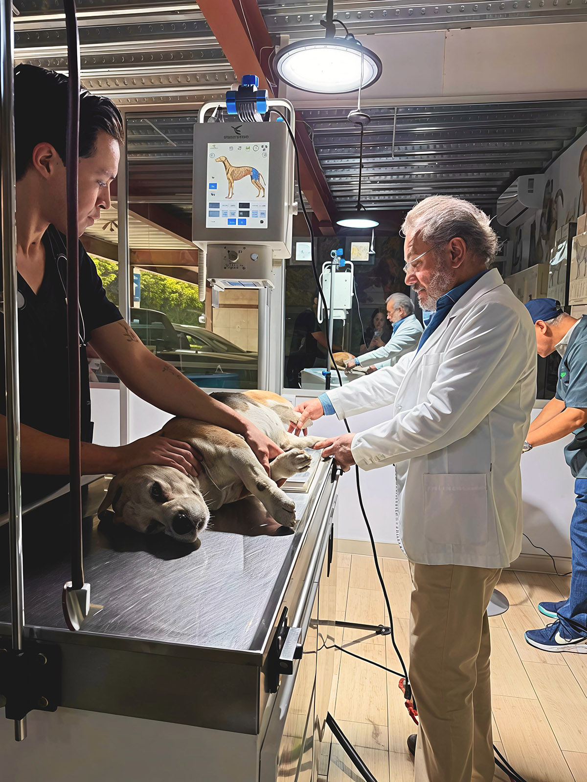 Veterinarios Médica Peek atendiendo a un paciente