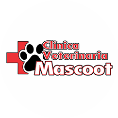 Cliente 5