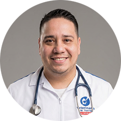 MVZ Victor Hugo Rocha Talamantes