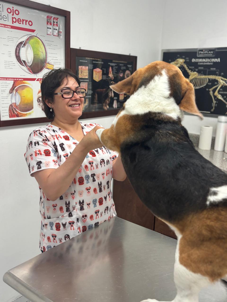 Perro siendo atendido en Clínica Veterinaria Mascoot Tijuana