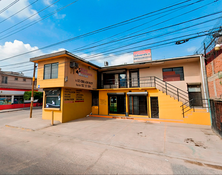 Equipo de Clínica Veterinaria Mascoot en Tijuana