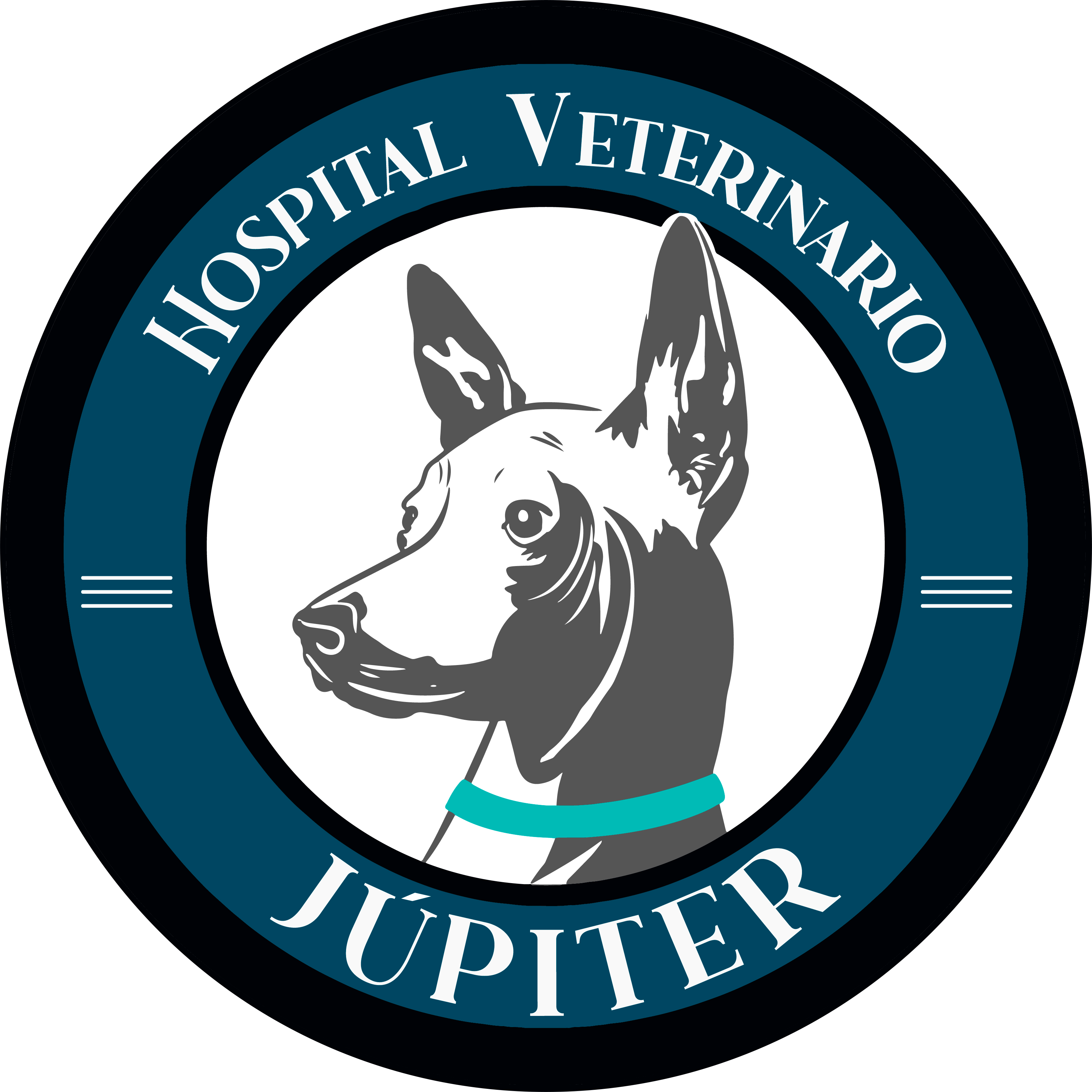 Logo Hospital Veterinario Júpiter