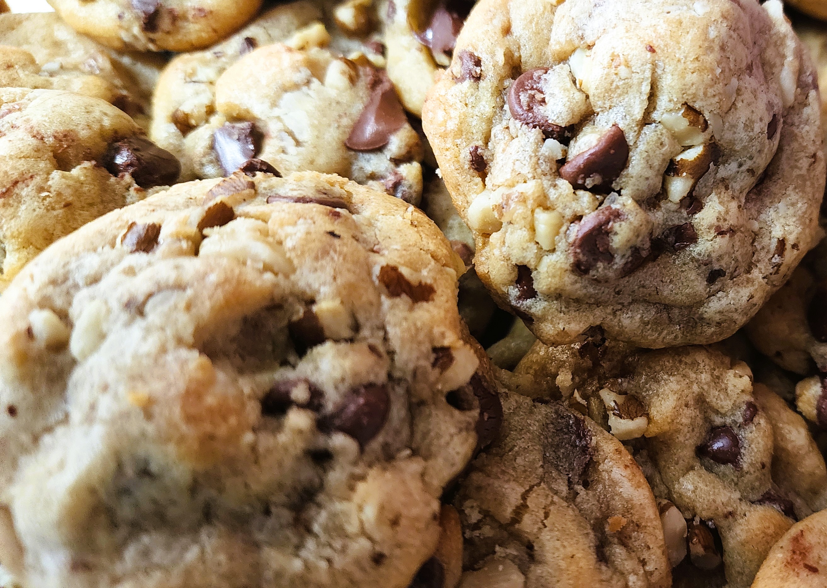 Ultimate Chocolate Chunk with Walnut
