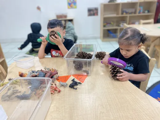 Preschoolers doing a science activity