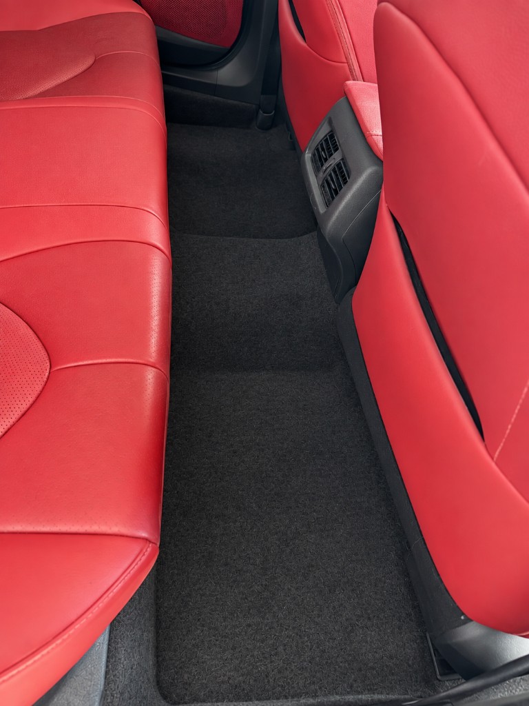 Leather Cleaning & Pet Hair Removal — after