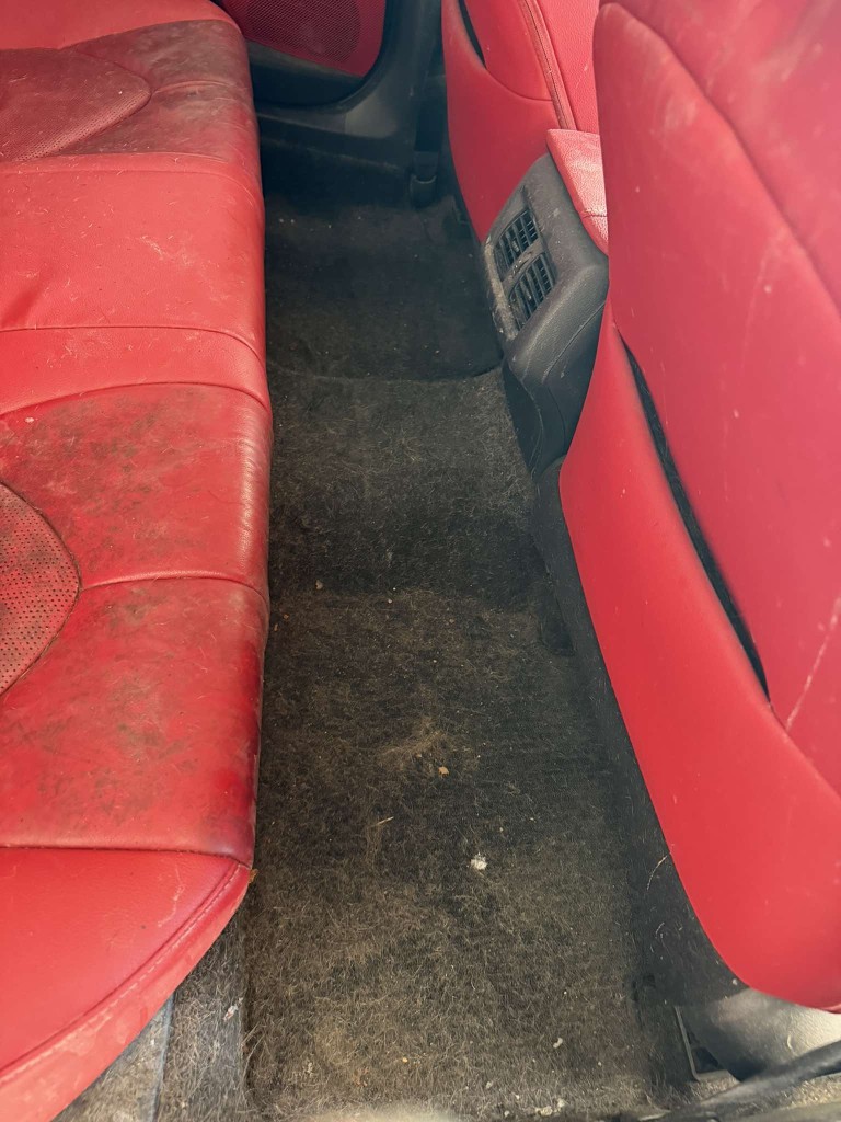 Leather Cleaning & Pet Hair Removal — before