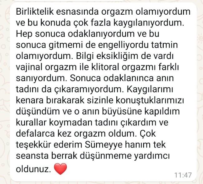 Katılımcı yorumu 1