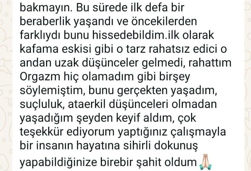 Katılımcı yorumu 2