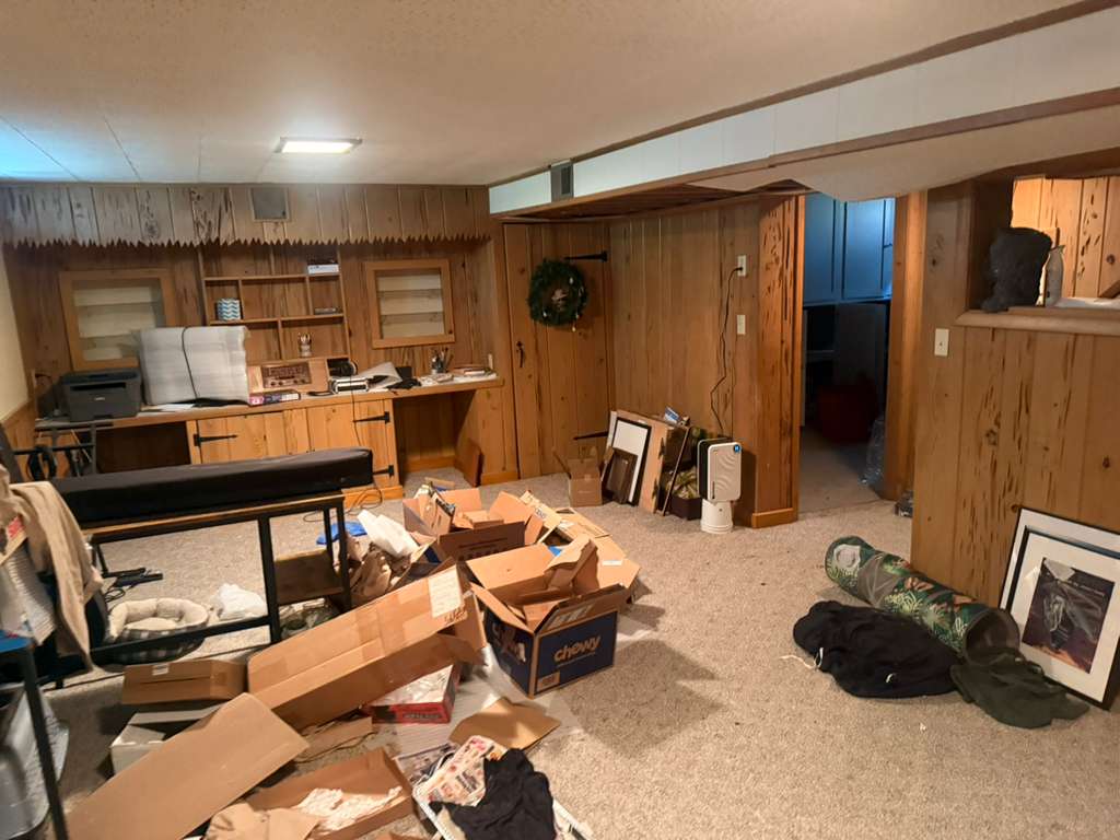 Basement cleanup