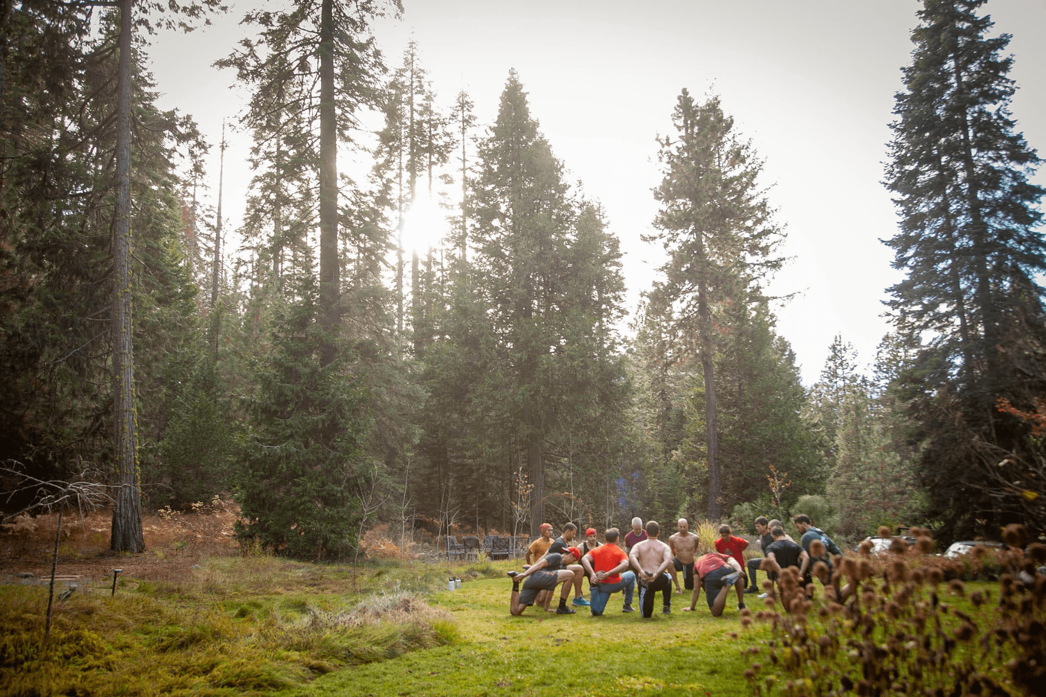Men in circle in the redwoods