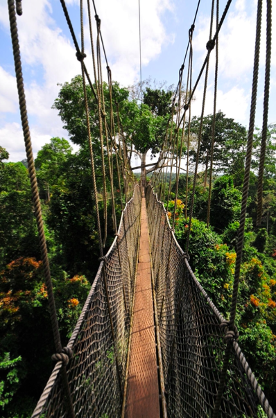 CAPE COAST & KAKUM EXPERIENCE — photo 2