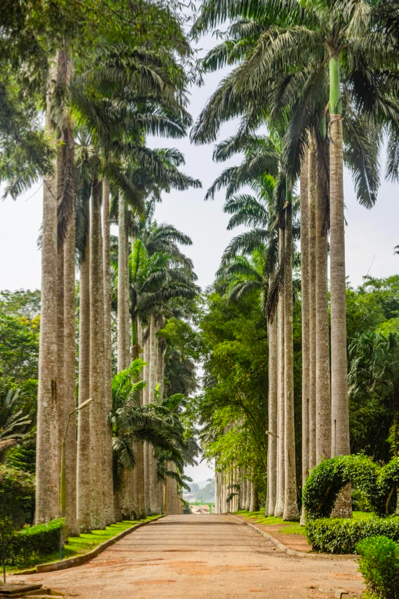ABURI & SAFARI VALLEY EXPERIENCE — photo 1