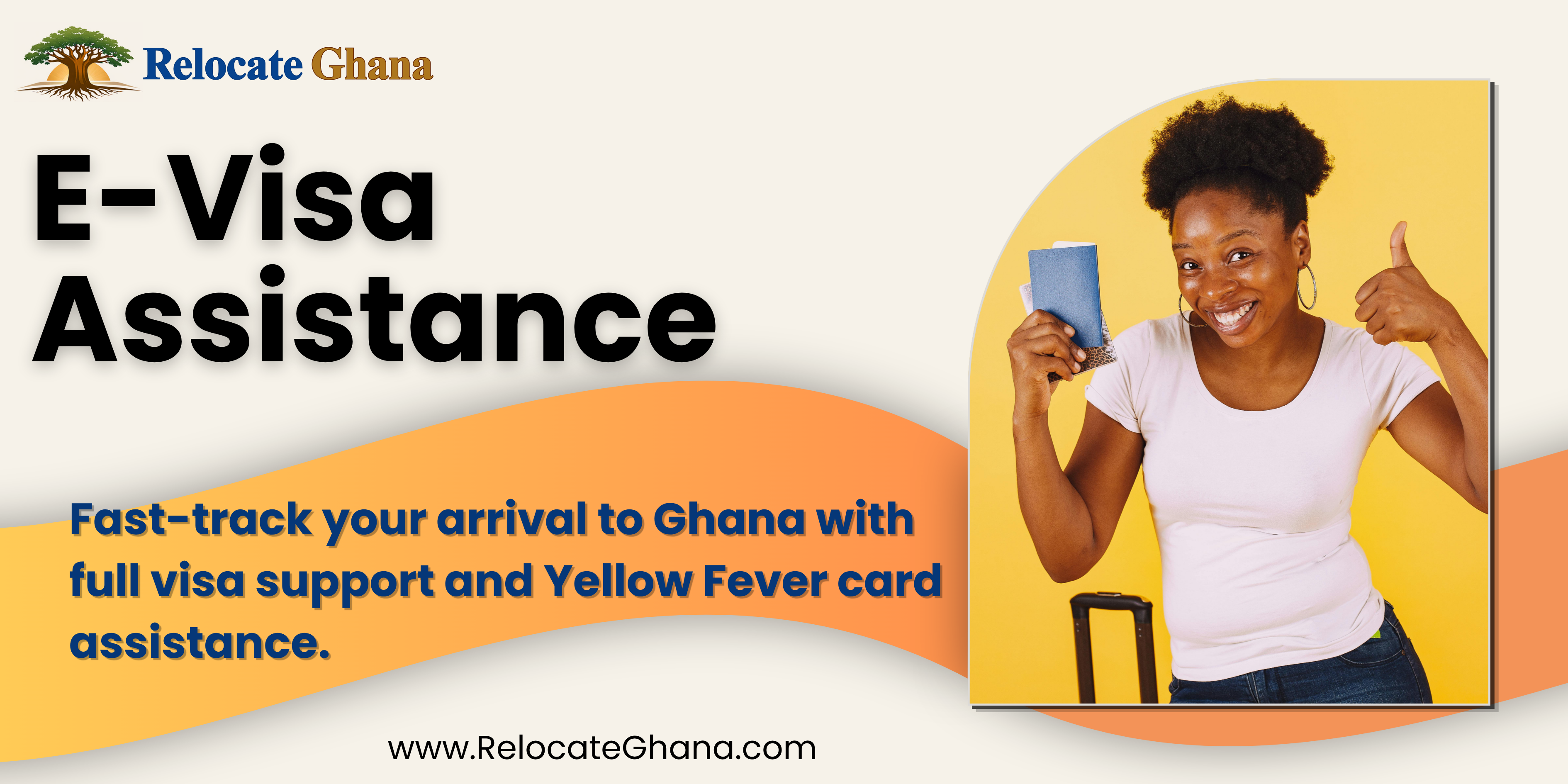 E-Visa Assistance