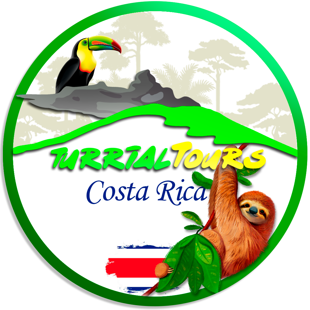 Turrialtours