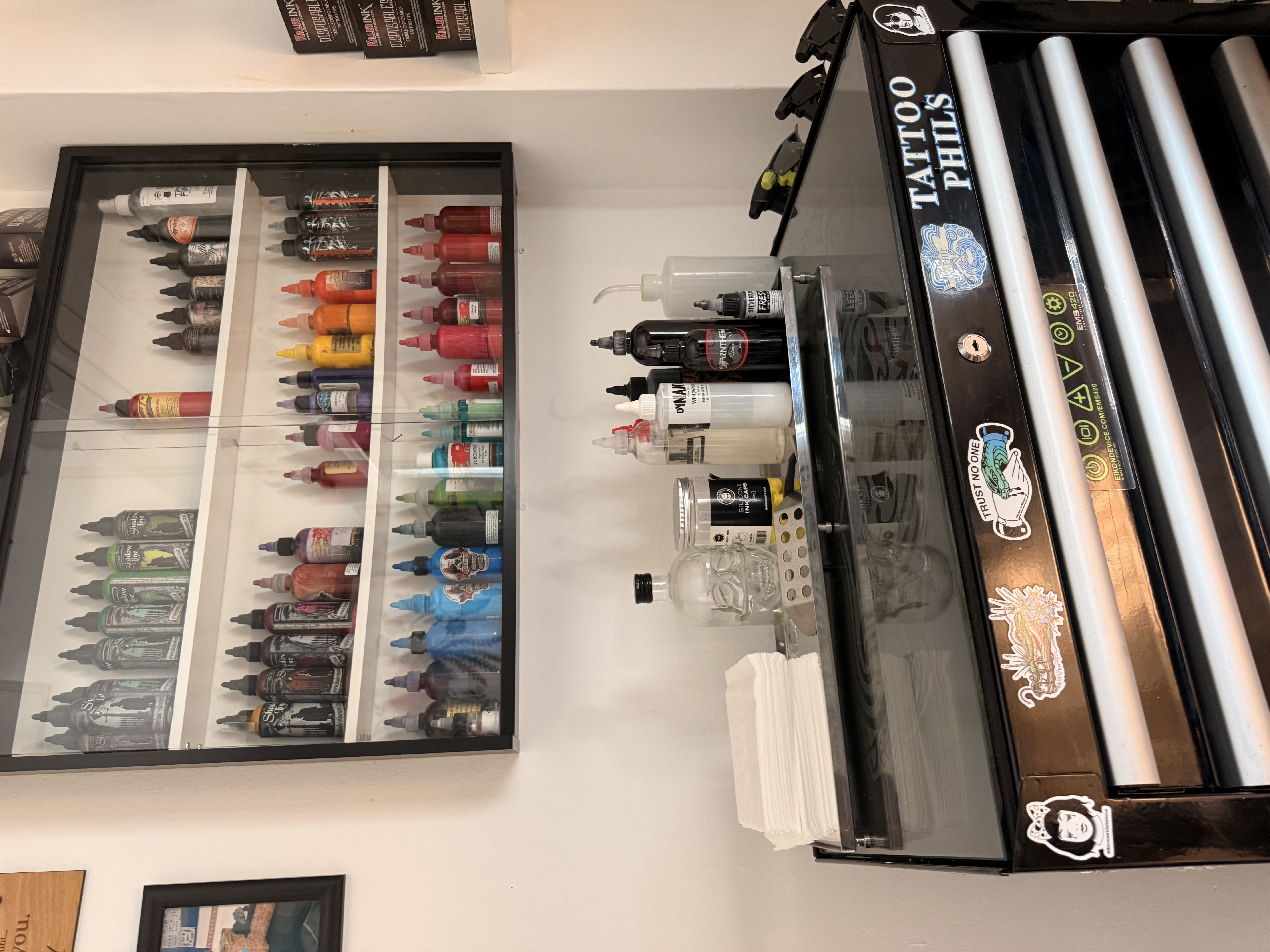 Professional tattoo equipment and pigment storage