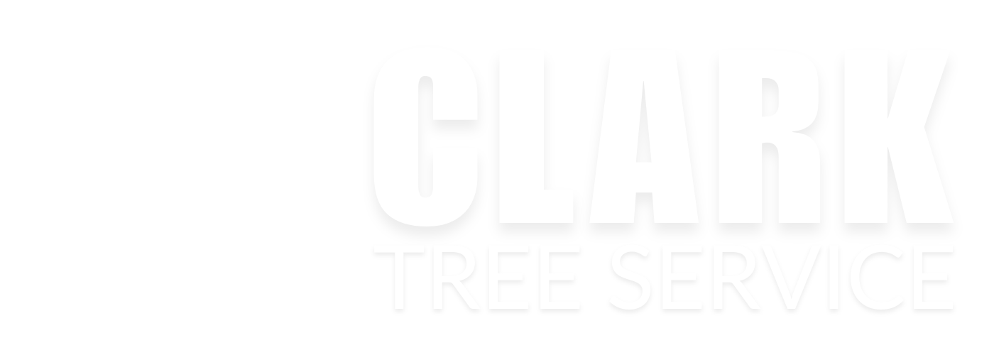 Clark Tree Service Logo