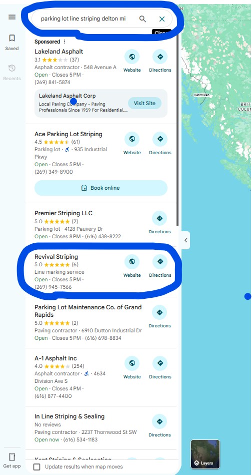 Google search result for Parking Lot Line Striping Delton, MI showing Revival Striping at position #3