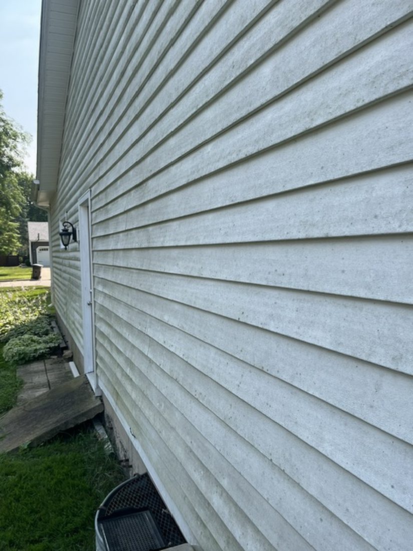 Vinyl siding before washing, covered in green algae streaks