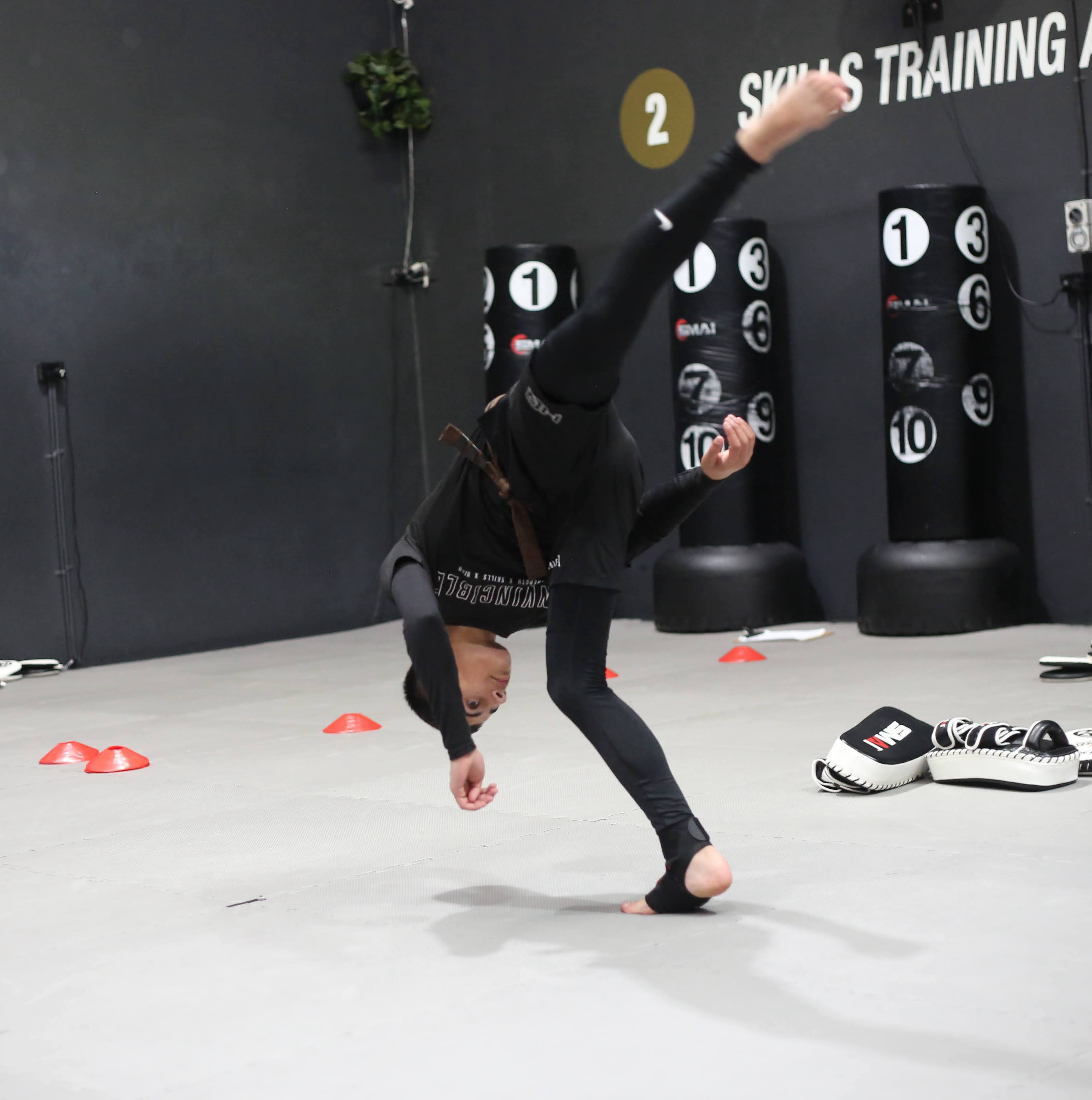 Brown II training