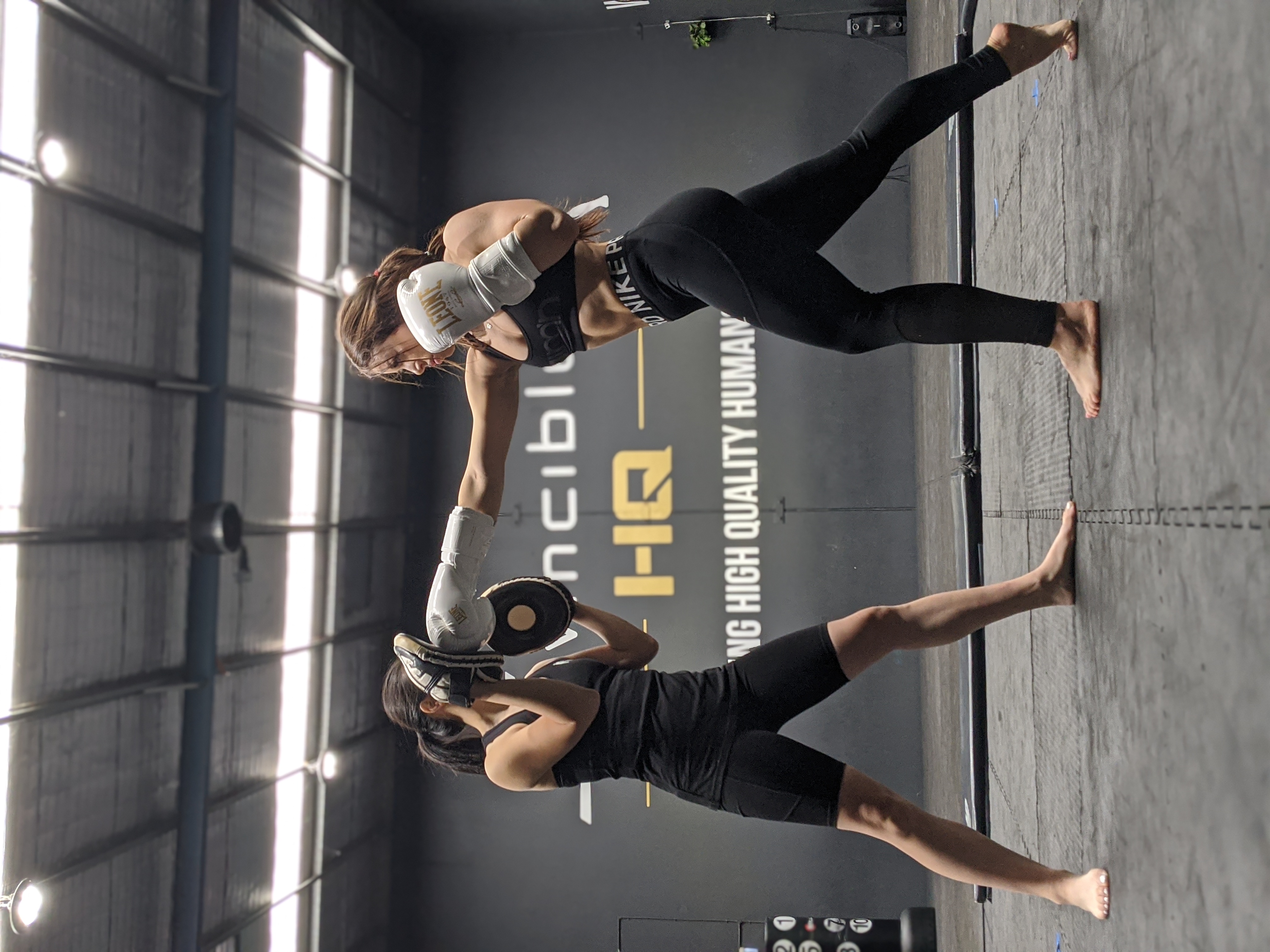 Adult Martial Arts and Skills