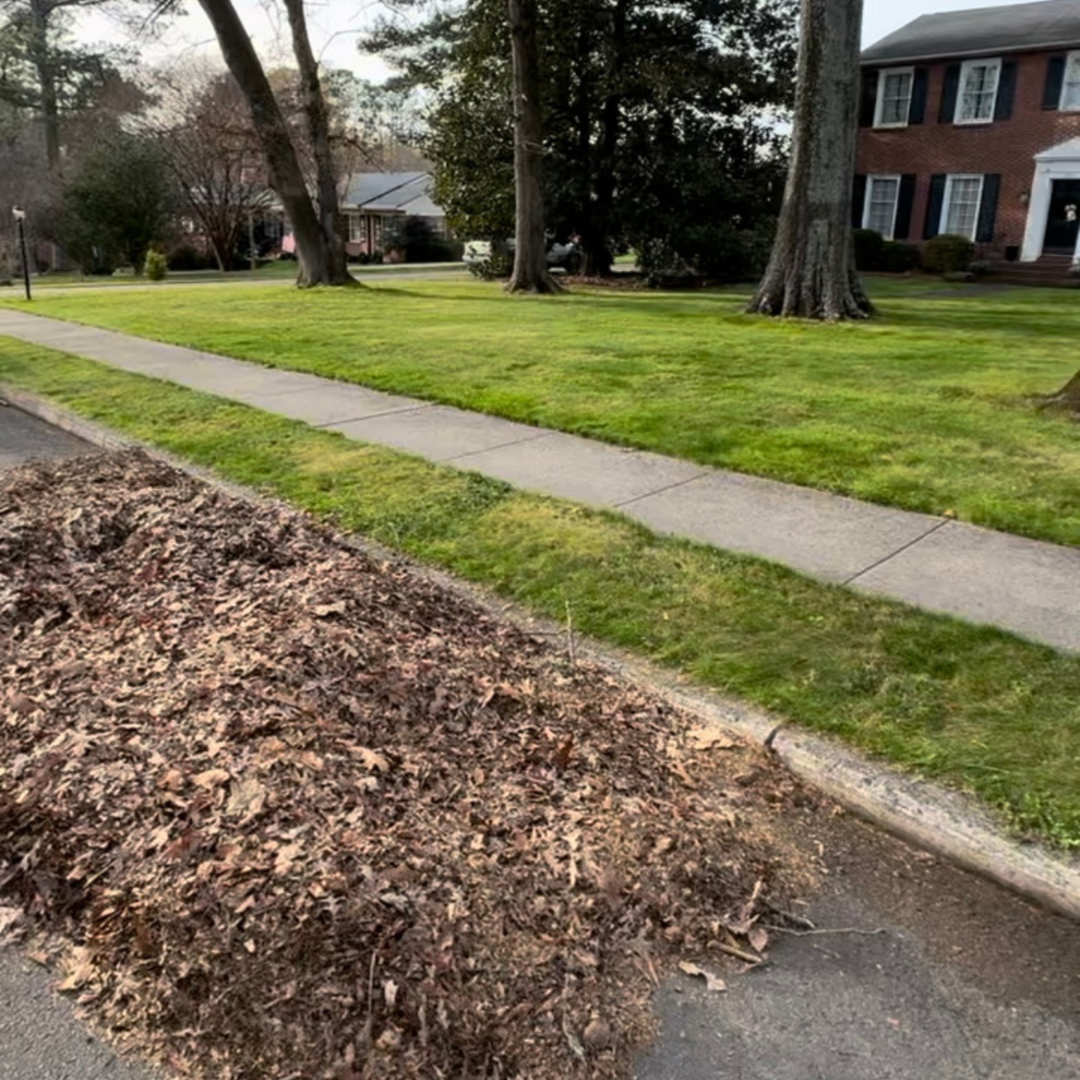 Leaf cleanup and removal service in Rock Hill SC