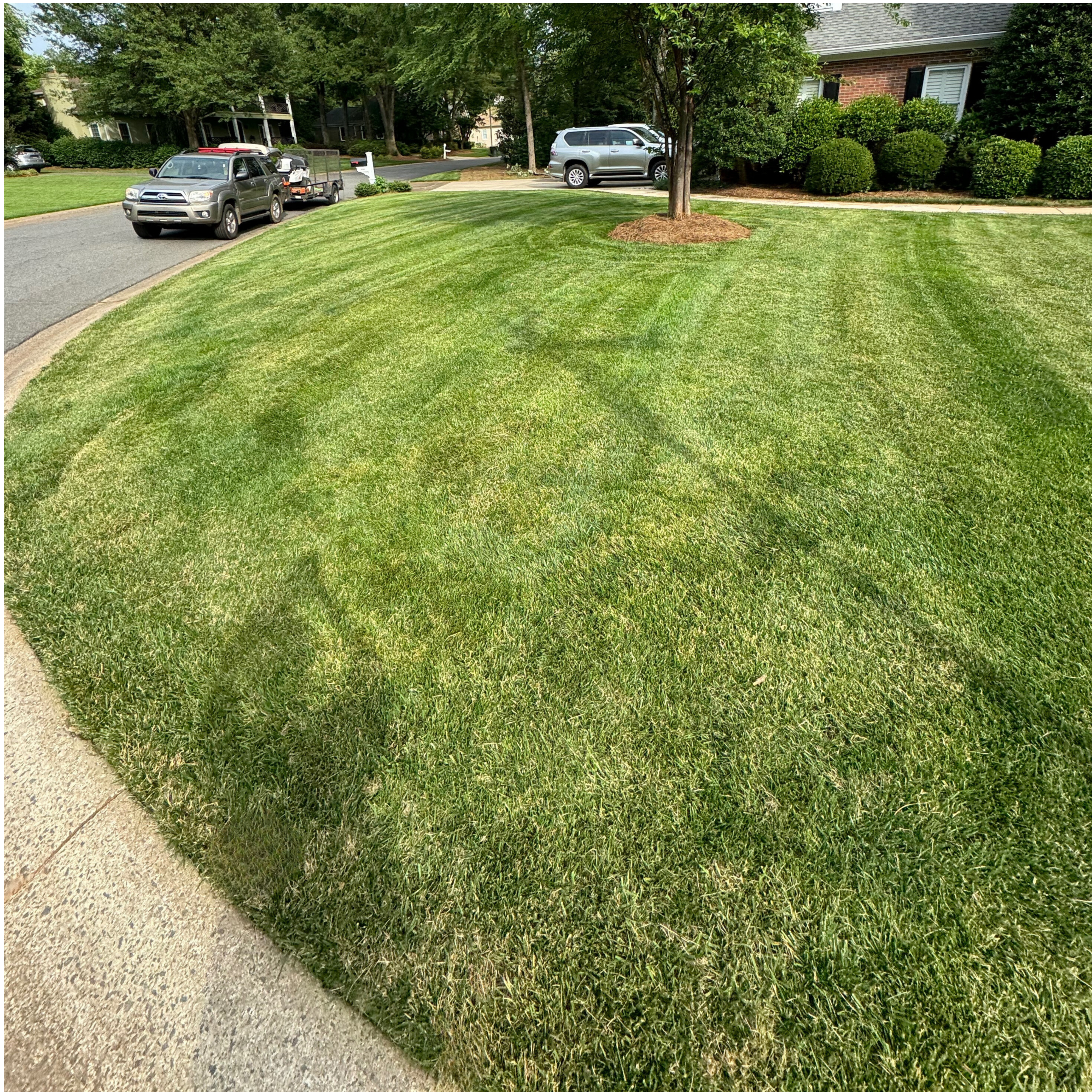 Lawn mowing and lawn care service in Rock Hill SC
