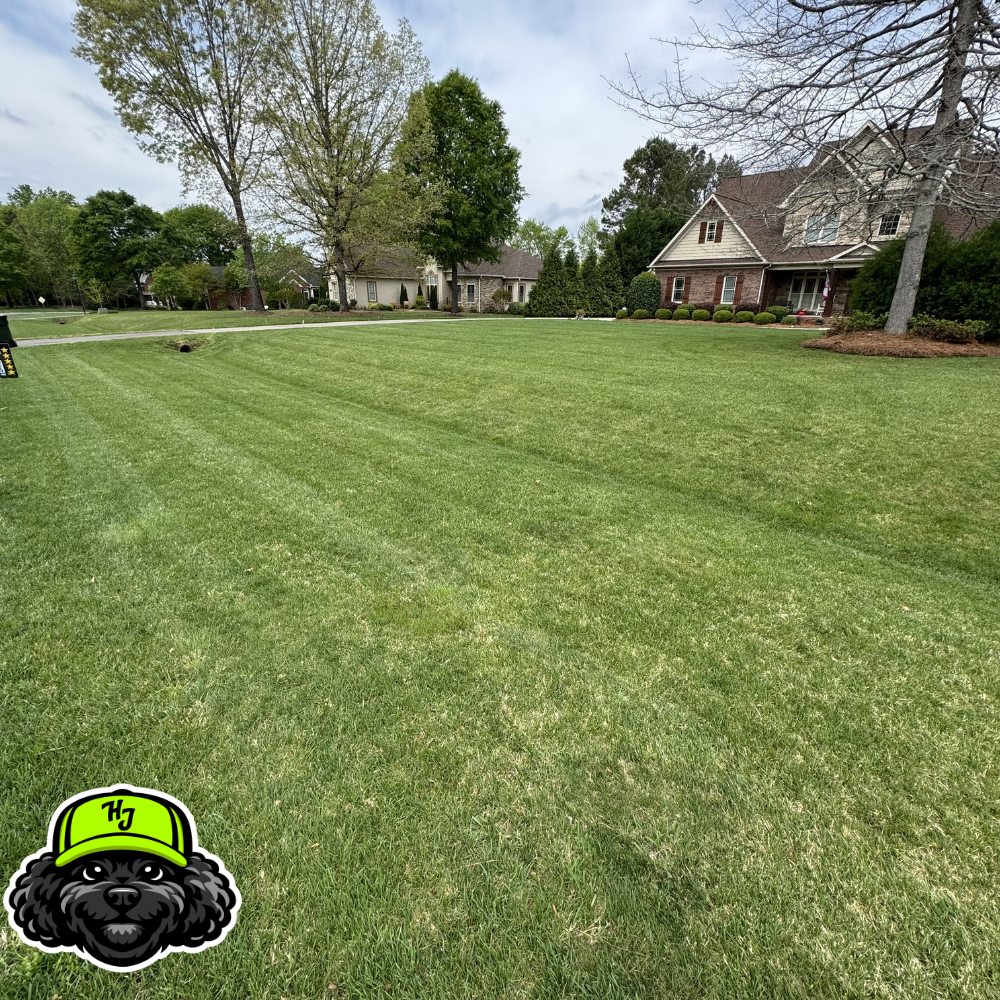 Professional lawn mowing result in Rock Hill SC