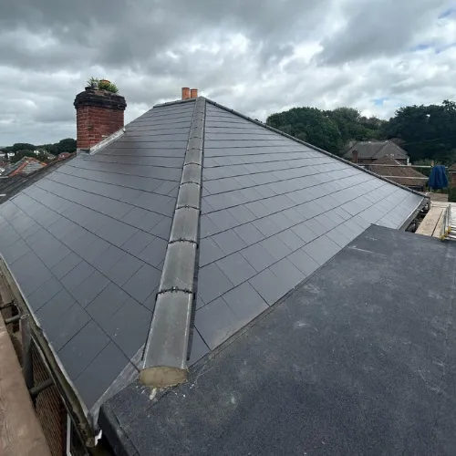 Recent roof project