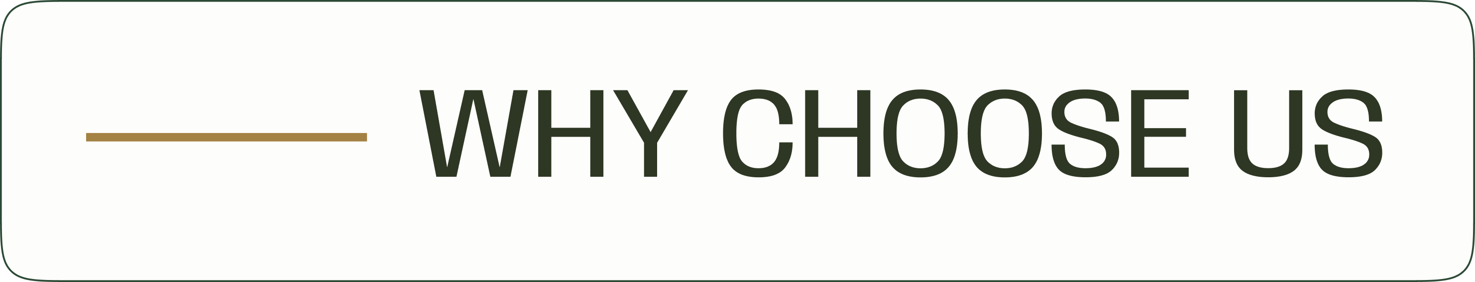 Why Choose Us