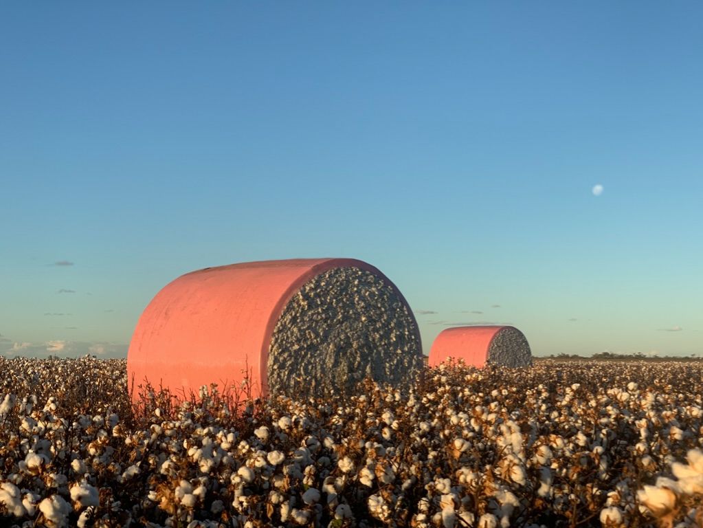 Bec Lindert, Lindert & Co