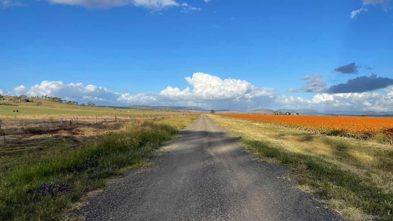 Australian agricultural landscape