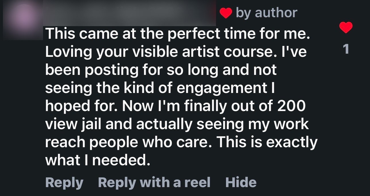 Instagram comment about The Visible Artist, finally out of 200 view jail