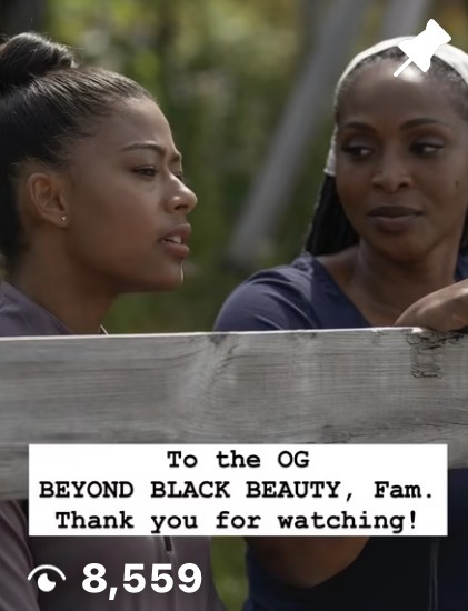 Thank you, Beyond Black Beauty fam, 8,559 views