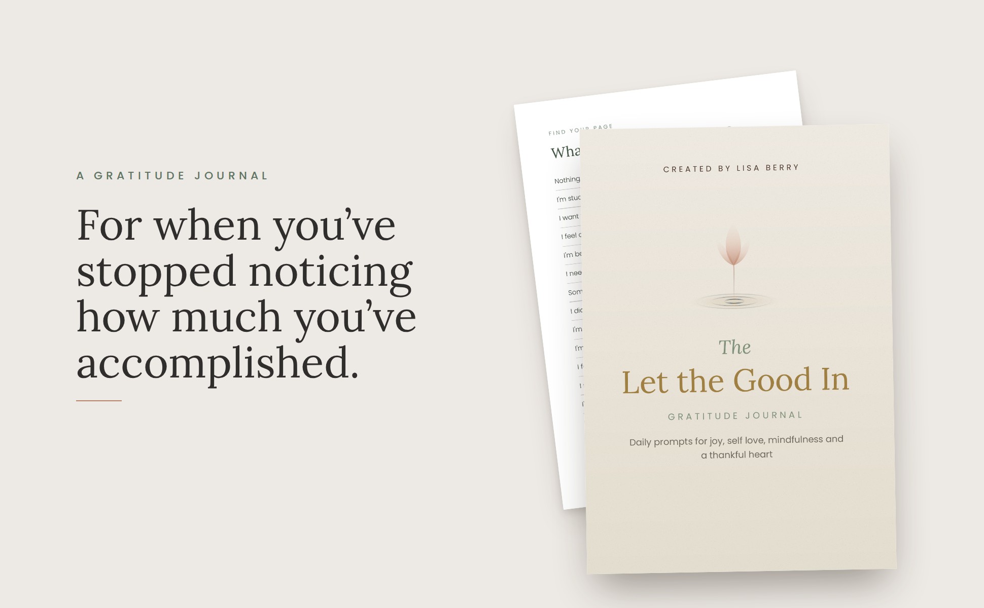 Let the Good In gratitude journal. For when you've stopped noticing how much you've accomplished.