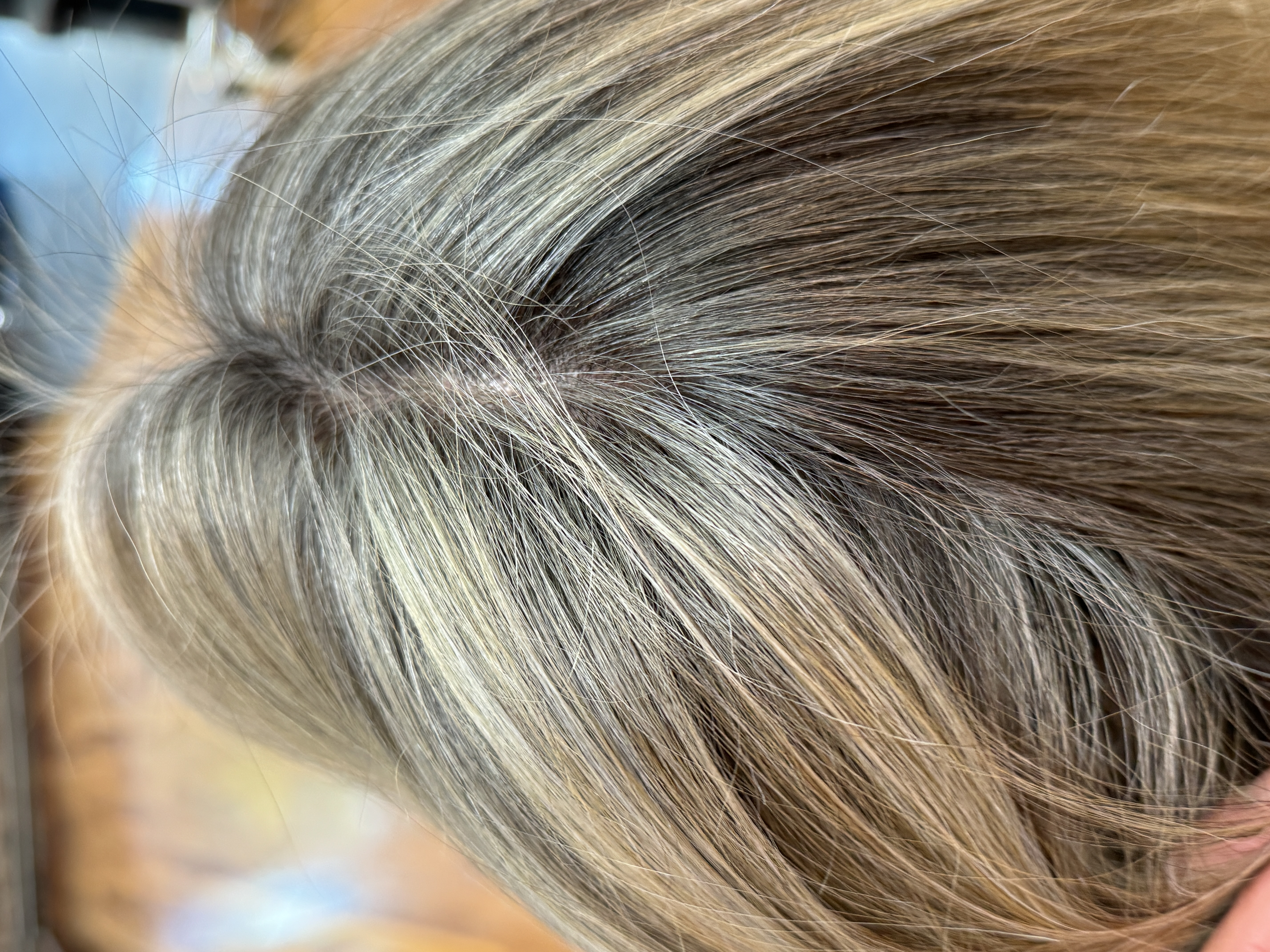 gray blending highlights on asian hair