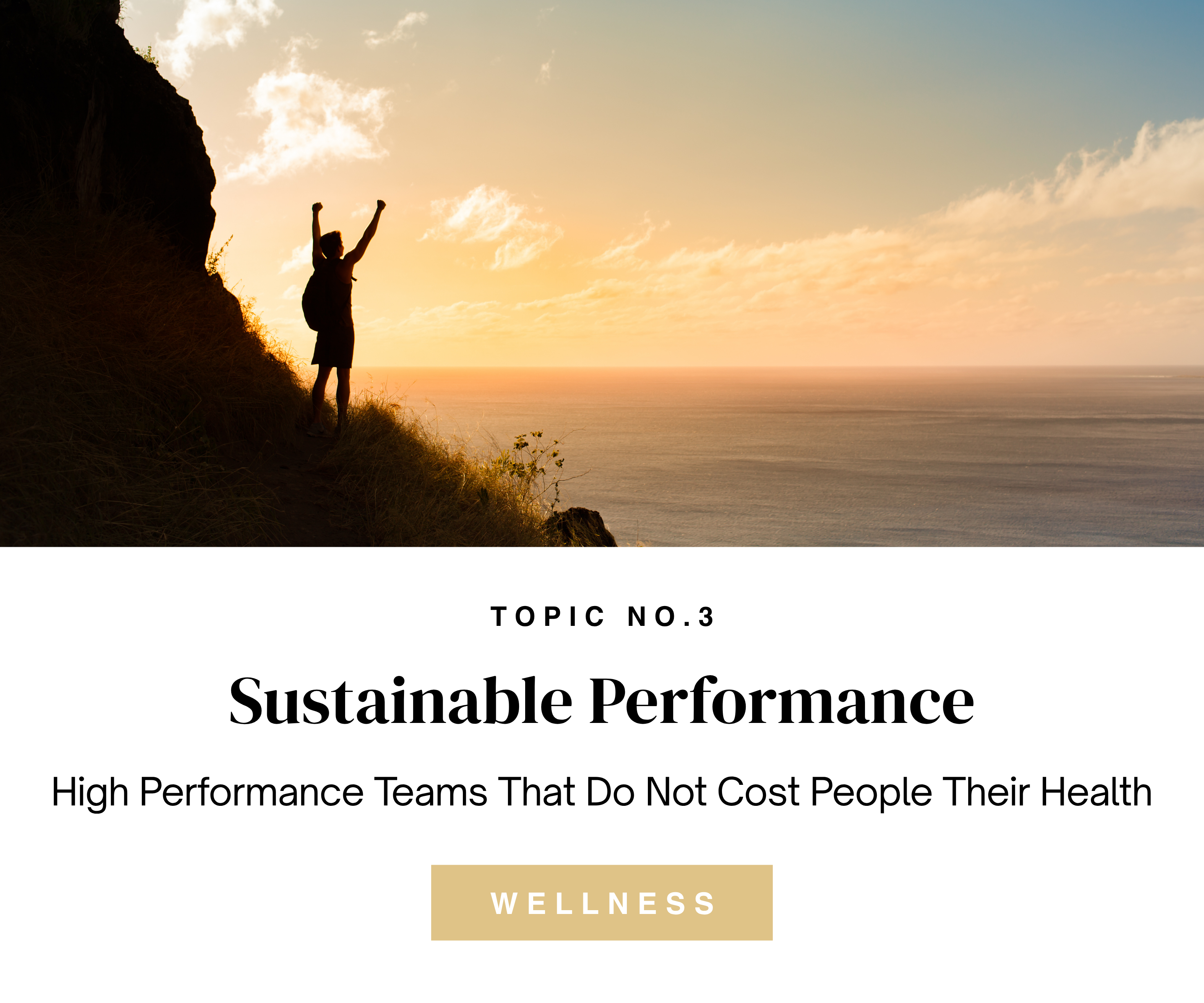 Sustainable Performance — high performance team wellness keynote by Mary Tibbetts