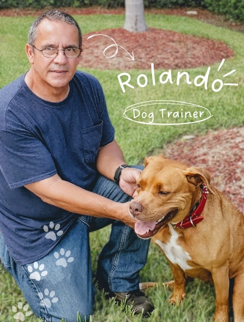 Rolando Rodriguez, RolanDogs