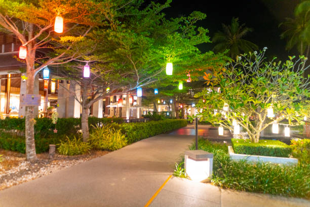 Aberdeen Landscape Lighting Design