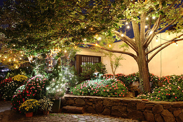 Pond Lighting Pinehurst