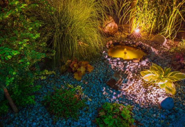 Garden and Tree Uplighting Pinehurst