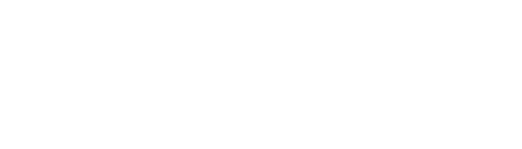 Optio IP Logo