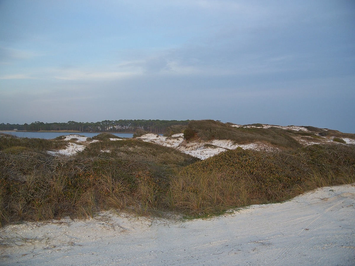 Dunes and a coastal dune lake at Grayton Beach State Park