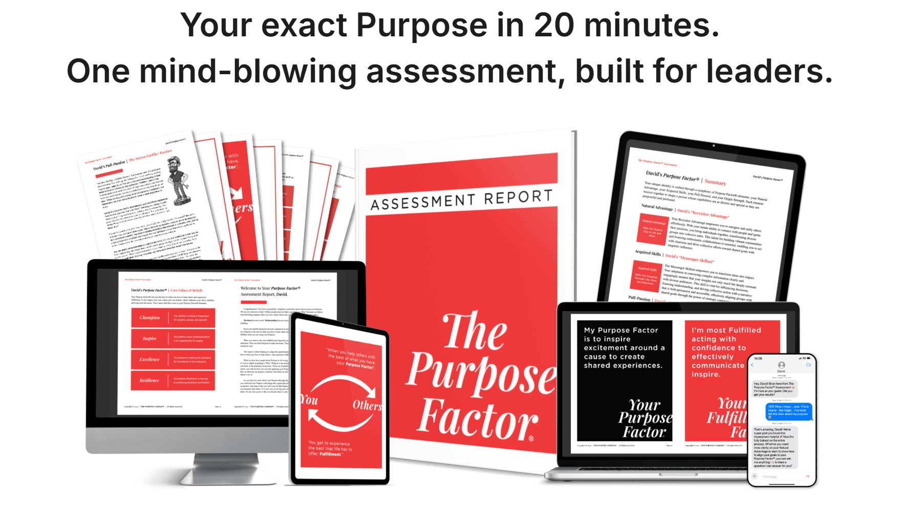 Purpose Factor® Assessment