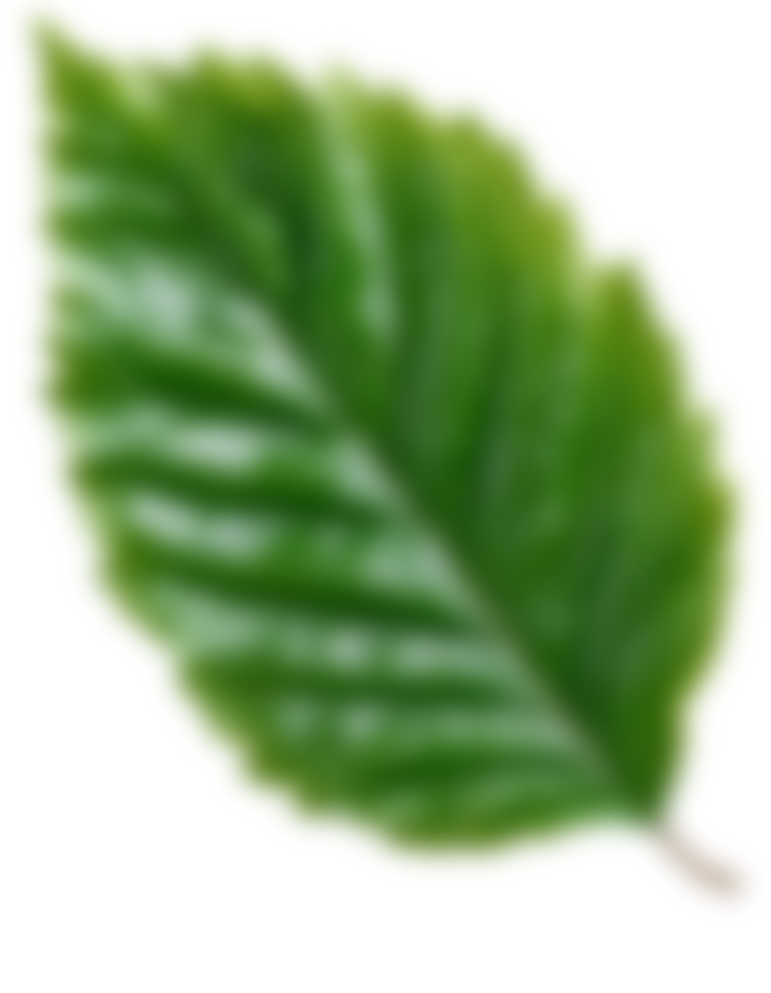 Leaf element