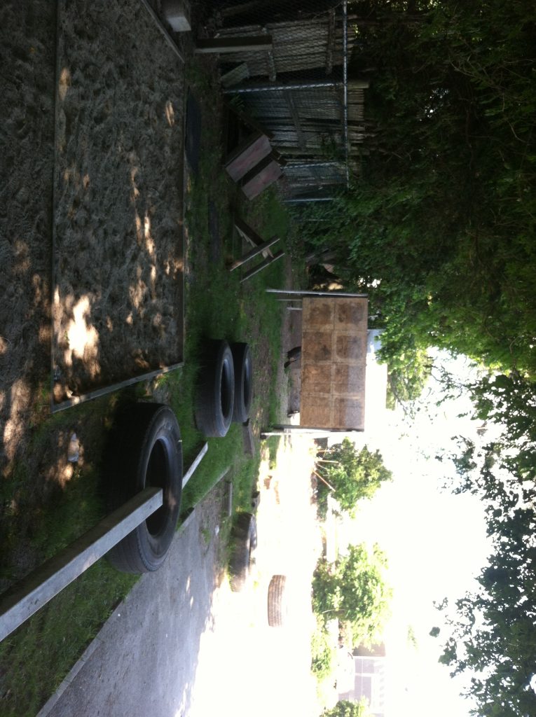 side yard side yard