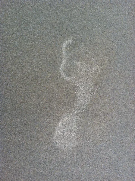 yogging footprint