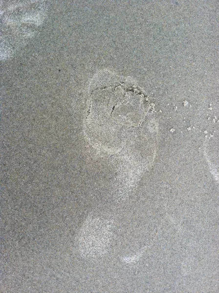walking footprint