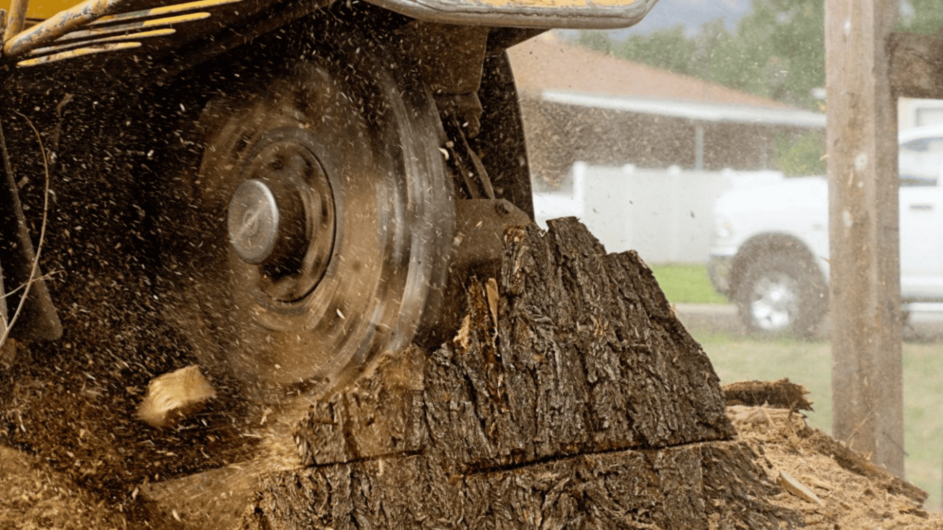 Stump Grinding & Removal