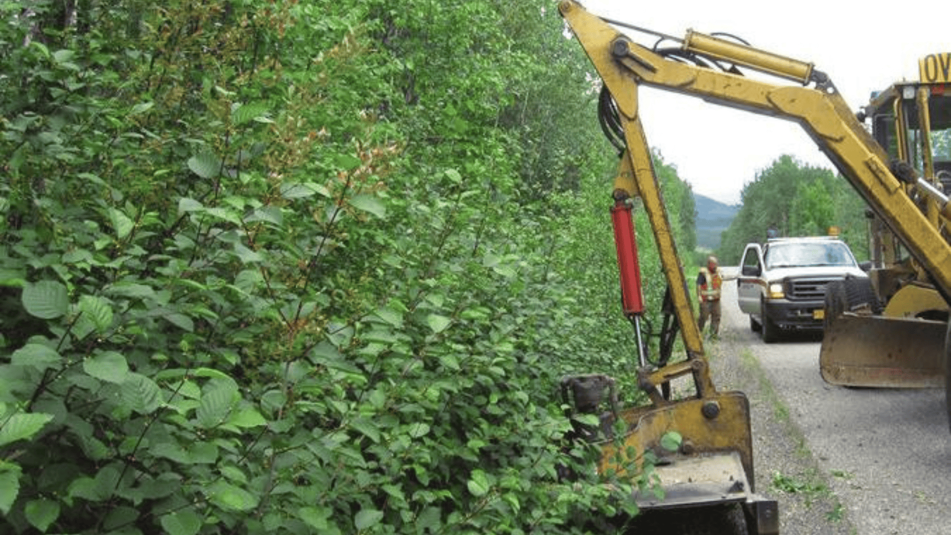 Driveway & Road Clearing