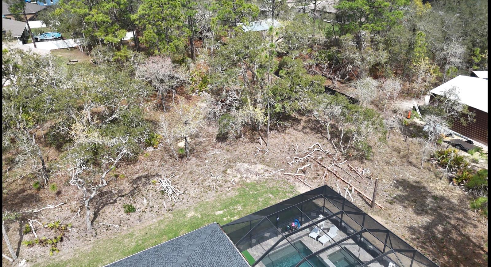 Lot Clearing